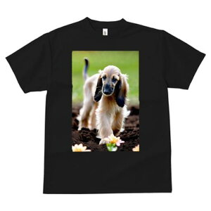 AtKnEh TVc  j[NfUCfB[X t@  t vg lJWA 킢 lԗp Mtg I ҏ΍  AtKnEh y