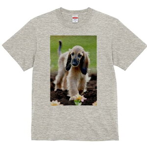 AtKnEh TVc  j[NfUCfB[X t@  t vg lJWA 킢 lԗp Mtg I ҏ΍  AtKnEh y