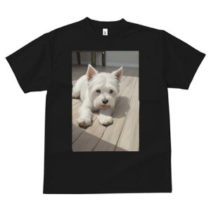 EGXgnChzCgeA TVc  j[NfUCY LbY t@  t vg lJWA 킢 lԗp Mtg I ҏ΍ t[O EG