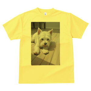 EGXgnChzCgeA TVc  j[NfUCfB[X t@  t vg lJWA 킢 lԗp Mtg I ҏ΍ t[O EGXg