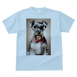 ~j`AViEU[ TVc  j[NfUCY LbY t@  t vg lJWA 킢 lԗp Mtg I ҏ΍ Kl ~j`AViEU