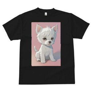 EGXgnChzCgeA TVc  j[NfUCfB[X t@  t vg lJWA 킢 lԗp Mtg I ҏ΍ EGXgnChz