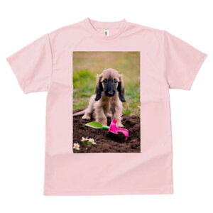 AtKnEh TVc  j[NfUCfB[X t@  t vg lJWA 킢 lԗp Mtg I ҏ΍  AtKnEh XRbv 