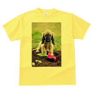 AtKnEh TVc  j[NfUCfB[X t@  t vg lJWA 킢 lԗp Mtg I ҏ΍  AtKnEh XRbv 