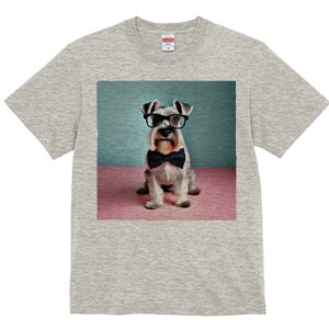 ~j`AViEU[ TVc  j[NfUCfB[X t@  t vg lJWA 킢 lԗp Mtg I ҏ΍ Kl ~j`AViEU[ 