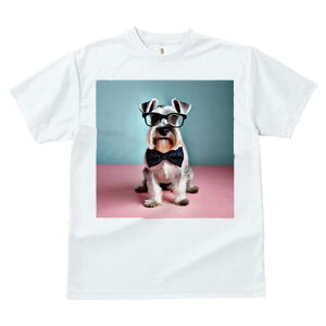 ~j`AViEU[ TVc  j[NfUCY LbY t@  t vg lJWA 킢 lԗp Mtg I ҏ΍ Kl ~j`AViEU