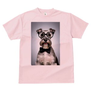 ~j`AViEU[ TVc  j[NfUCfB[X t@  t vg lJWA 킢 lԗp Mtg I ҏ΍ Kl ~j`AViEU[ 