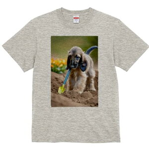 AtKnEh TVc  j[NfUCfB[X t@  t vg lJWA 킢 lԗp Mtg I ҏ΍ Vx AtKnEh 