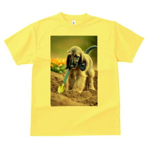 AtKnEh TVc  j[NfUCfB[X t@  t vg lJWA 킢 lԗp Mtg I ҏ΍ Vx AtKnEh 