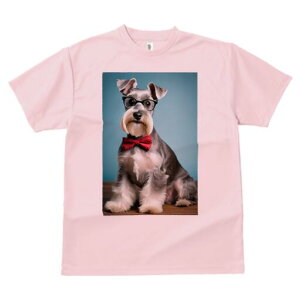 ~j`AViEU[ TVc  j[NfUCfB[X t@  t vg lJWA 킢 lԗp Mtg I ҏ΍ lN^C ~j`AViEU