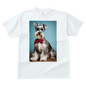 ~j`AViEU[ TVc  j[NfUCfB[X t@  t vg lJWA 킢 lԗp Mtg I ҏ΍ lN^C ~j`AViEU