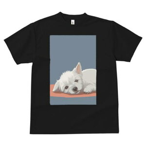 EGXgnChzCgeA TVc  j[NfUCY LbY t@  t vg lJWA 킢 lԗp Mtg I ҏ΍ EGXgnCh