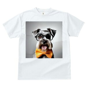 ~j`AViEU[ TVc  j[NfUCfB[X t@  t vg lJWA 킢 lԗp Mtg I ҏ΍ Kl ~j`AViEU[ 