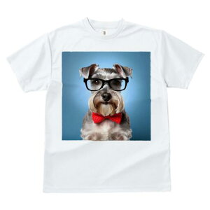 ~j`AViEU[ TVc  j[NfUCfB[X t@  t vg lJWA 킢 lԗp Mtg I ҏ΍ Kl ~j`AViEU[ 