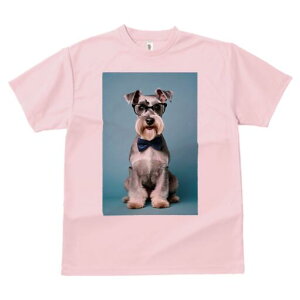 ~j`AViEU[ TVc  j[NfUCfB[X t@  t vg lJWA 킢 lԗp Mtg I ҏ΍ Kl ~j`AViEU[ 