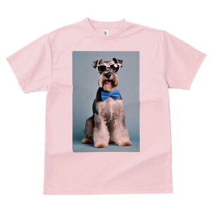 ~j`AViEU[ TVc  j[NfUCfB[X t@  t vg lJWA 킢 lԗp Mtg I ҏ΍ lN^C ~j`AViEU