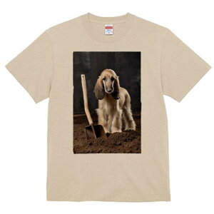 AtKnEh TVc  j[NfUCfB[X t@  t vg lJWA 킢 lԗp Mtg I ҏ΍ Vx AtKnEh y