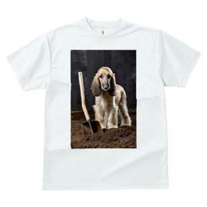 AtKnEh TVc  j[NfUCfB[X t@  t vg lJWA 킢 lԗp Mtg I ҏ΍ Vx AtKnEh y