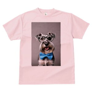 ~j`AViEU[ TVc  j[NfUCY LbY t@  t vg lJWA 킢 lԗp Mtg I ҏ΍ Kl ~j`AViEU