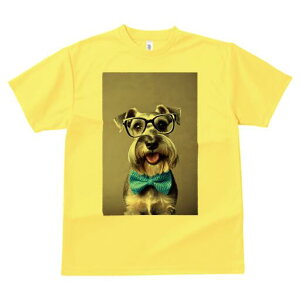 ~j`AViEU[ TVc  j[NfUCY LbY t@  t vg lJWA 킢 lԗp Mtg I ҏ΍ Kl ~j`AViEU