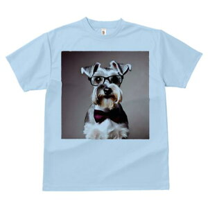 ~j`AViEU[ TVc  j[NfUCfB[X t@  t vg lJWA 킢 lԗp Mtg I ҏ΍ Kl ~j`AViEU[ 