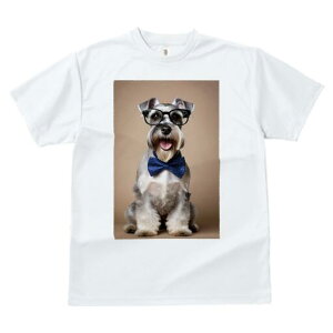 ~j`AViEU[ TVc  j[NfUCfB[X t@  t vg lJWA 킢 lԗp Mtg I ҏ΍ Kl ~j`AViEU[ 