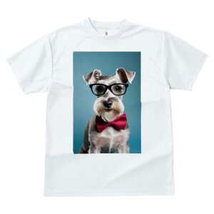 ~j`AViEU[ TVc  j[NfUCfB[X t@  t vg lJWA 킢 lԗp Mtg I ҏ΍ Kl ~j`AViEU[ 