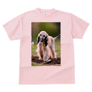 AtKnEh TVc  j[NfUCfB[X t@  t vg lJWA 킢 lԗp Mtg I ҏ΍  AtKnEh y XRbv 