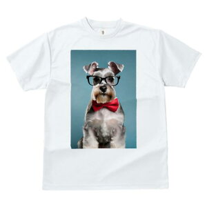 ~j`AViEU[ TVc  j[NfUCfB[X t@  t vg lJWA 킢 lԗp Mtg I ҏ΍ Kl ~j`AViEU[ 