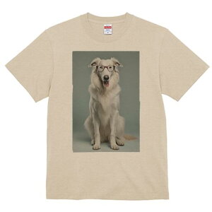 R[ TVc  j[NfUCfB[X t@  t vg lJWA 킢 lԗp Mtg I ҏ΍ Kl R[