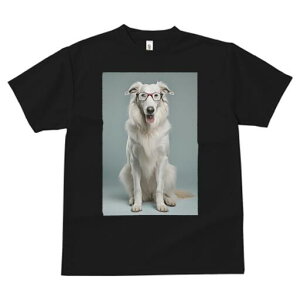 R[ TVc  j[NfUCY LbY t@  t vg lJWA 킢 lԗp Mtg I ҏ΍ Kl R[