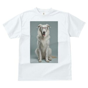 R[ TVc  j[NfUCY LbY t@  t vg lJWA 킢 lԗp Mtg I ҏ΍ Kl R[