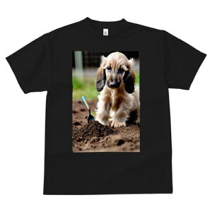 AtKnEh TVc  j[NfUCfB[X t@  t vg lJWA 킢 lԗp Mtg I ҏ΍ y AtKnEh XRbv