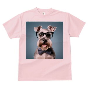 ~j`AViEU[ TVc  j[NfUCfB[X t@  t vg lJWA 킢 lԗp Mtg I ҏ΍ Kl ~j`AViEU[ 