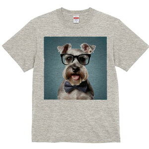 ~j`AViEU[ TVc  j[NfUCY LbY t@  t vg lJWA 킢 lԗp Mtg I ҏ΍ Kl ~j`AViEU