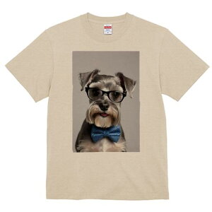 ~j`AViEU[ TVc  j[NfUCfB[X t@  t vg lJWA 킢 lԗp Mtg I ҏ΍ Kl ~j`AViEU[ 