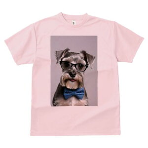 ~j`AViEU[ TVc  j[NfUCY LbY t@  t vg lJWA 킢 lԗp Mtg I ҏ΍ Kl ~j`AViEU