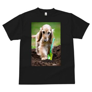 AtKnEh TVc  j[NfUCfB[X t@  t vg lJWA 킢 lԗp Mtg I ҏ΍ y AtKnEh Vx