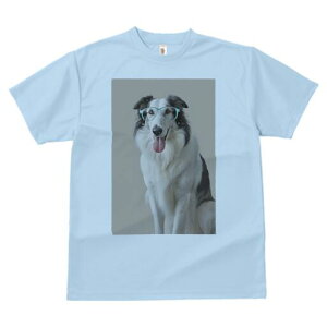 {[_[R[ TVc  j[NfUCfB[X t@  t vg lJWA 킢 lԗp Mtg I ҏ΍ Kl {[_[R[