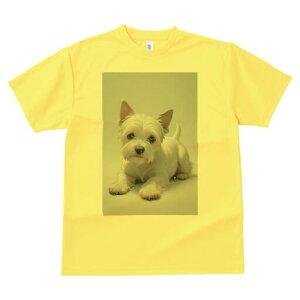 EGXgnChzCgeA TVc  j[NfUCfB[X t@  t vg lJWA 킢 lԗp Mtg I ҏ΍ EGXgnChz