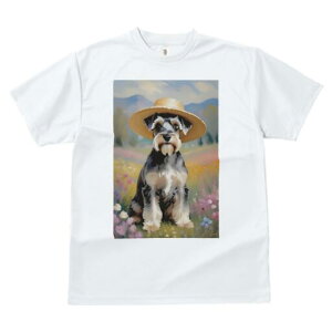 ~j`AViEU[ TVc  j[NfUCfB[X t@  t vg lJWA 킢 lԗp Mtg I ҏ΍ Xq ~j`AViEU[  