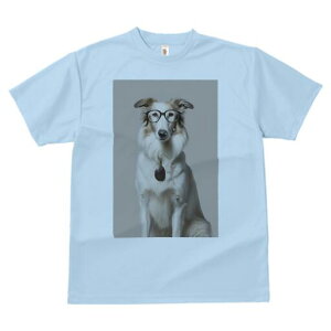 {]C TVc  j[NfUCY LbY t@  t vg lJWA 킢 lԗp Mtg I ҏ΍ Kl {]C y_g