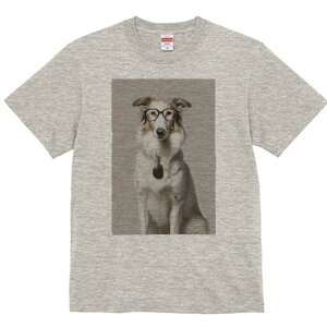 {]C TVc  j[NfUCfB[X t@  t vg lJWA 킢 lԗp Mtg I ҏ΍ Kl {]C y_g