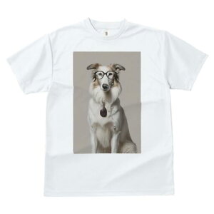 {]C TVc  j[NfUCfB[X t@  t vg lJWA 킢 lԗp Mtg I ҏ΍ Kl {]C y_g