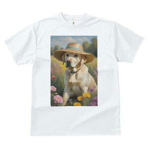 uh[go[ TVc  j[NfUCfB[X t@  t vg lJWA 킢 lԗp Mtg I ҏ΍ Xq uh[go[ 