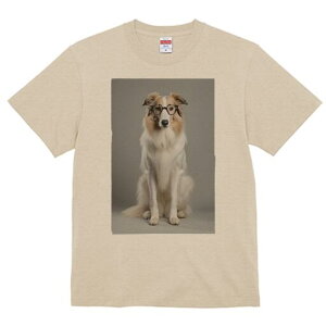 R[ TVc  j[NfUCfB[X t@  t vg lJWA 킢 lԗp Mtg I ҏ΍ Kl R[