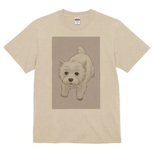 EGXgnChzCgeA TVc  j[NfUCfB[X t@  t vg lJWA 킢 lԗp Mtg I ҏ΍ EGXgnChz