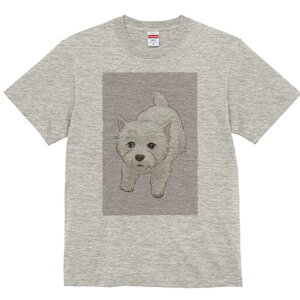 EGXgnChzCgeA TVc  j[NfUCfB[X t@  t vg lJWA 킢 lԗp Mtg I ҏ΍ EGXgnChz