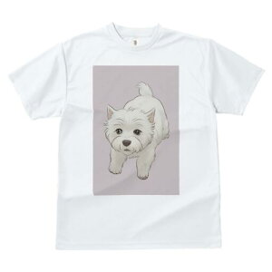 EGXgnChzCgeA TVc  j[NfUCfB[X t@  t vg lJWA 킢 lԗp Mtg I ҏ΍ EGXgnChz