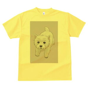 EGXgnChzCgeA TVc  j[NfUCY LbY t@  t vg lJWA 킢 lԗp Mtg I ҏ΍ EGXgnCh